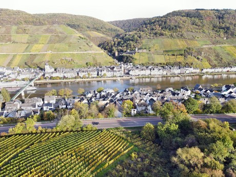 Zell