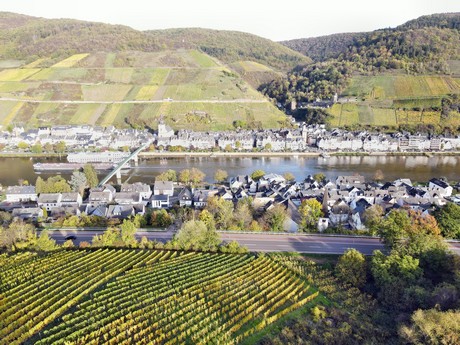 Zell