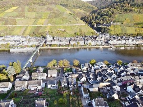 Zell