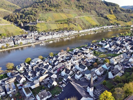 Zell