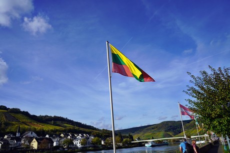 Zell