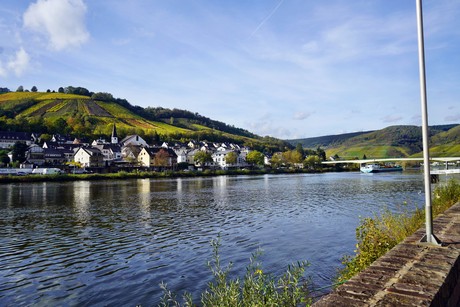 Zell