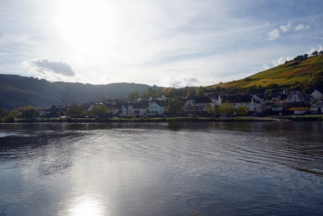 Zell