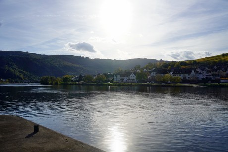 Zell