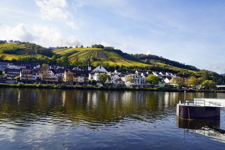 Zell