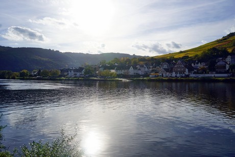Zell