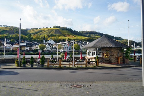 Zell