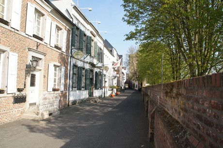 zons