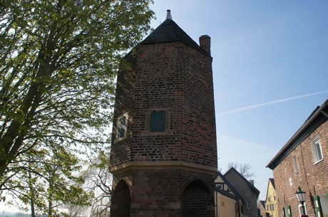 zons