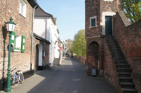 zons