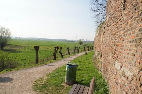 zons
