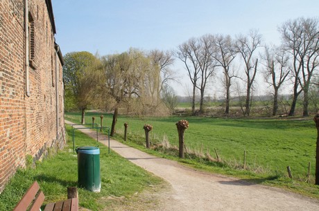 zons