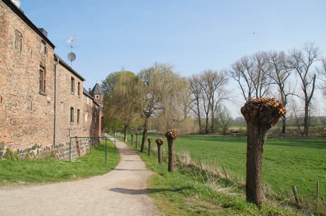 zons