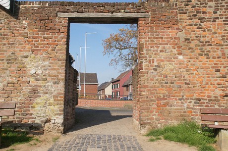 zons