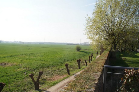 zons