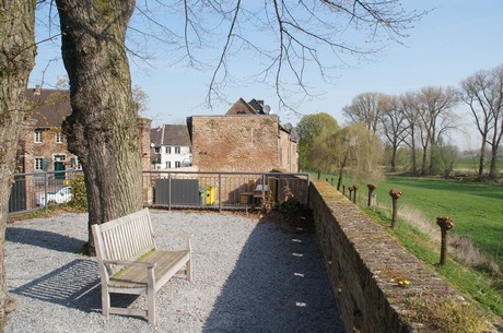 zons