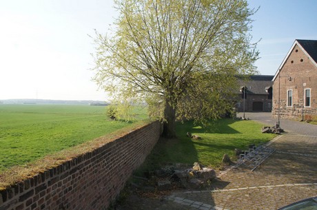 zons