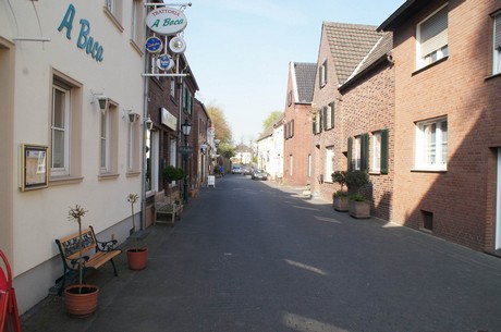 zons