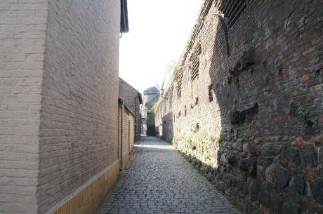 zons