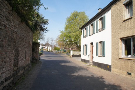 zons