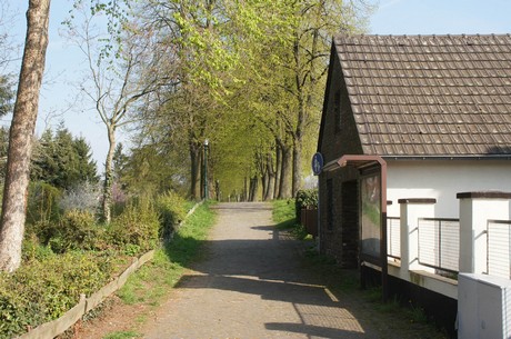 zons