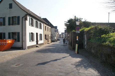 zons