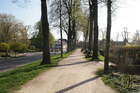 zons