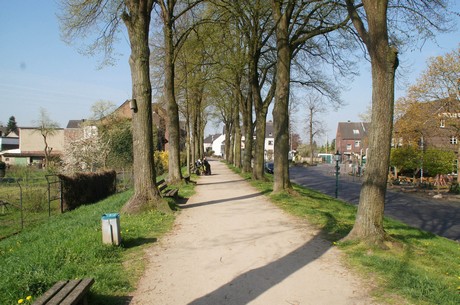 zons