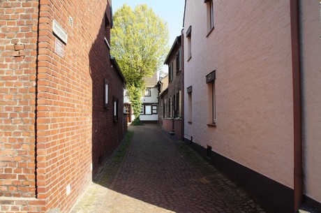 zons