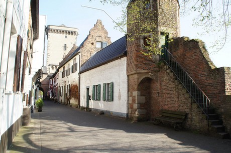 zons