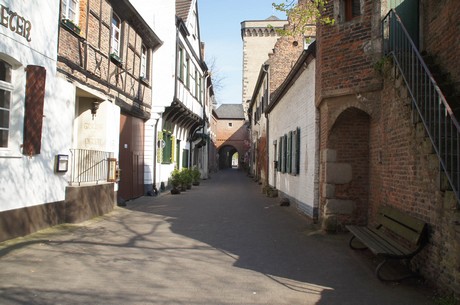 zons