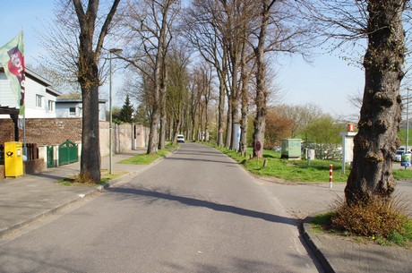zons