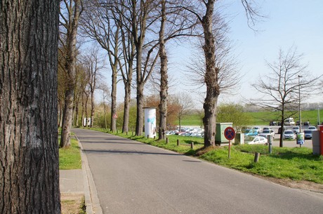 zons