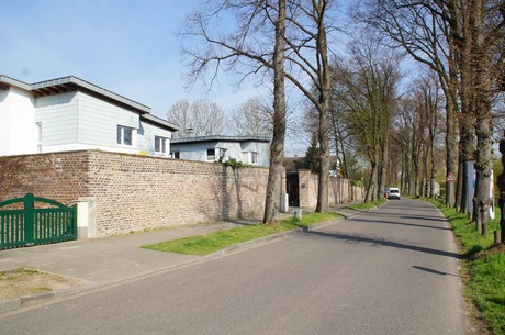 zons