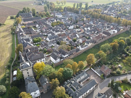 Zons