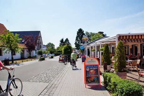 zingst