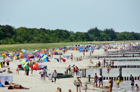 zingst