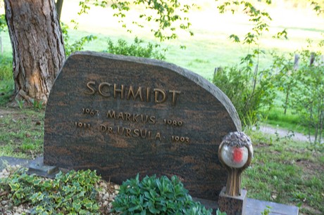 zuelpich