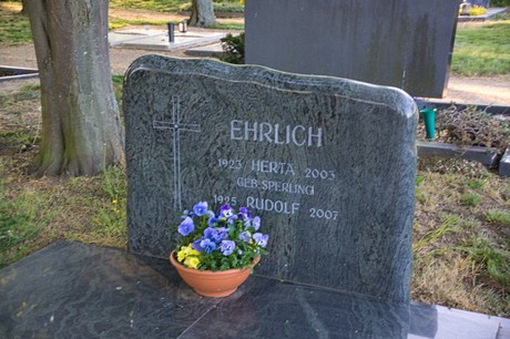 zuelpich