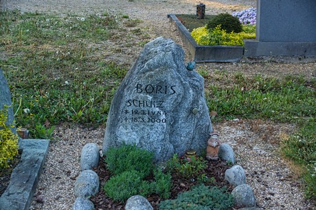 zuelpich