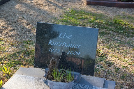 zuelpich