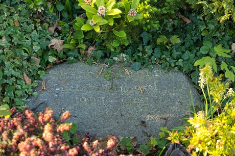 zuelpich
