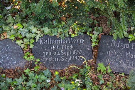 zuelpich