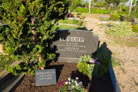 zuelpich