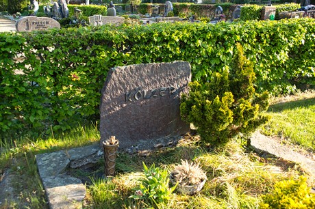 zuelpich