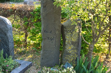 zuelpich