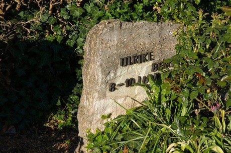 zuelpich