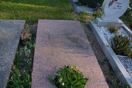 zuelpich