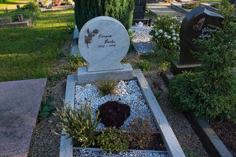 zuelpich