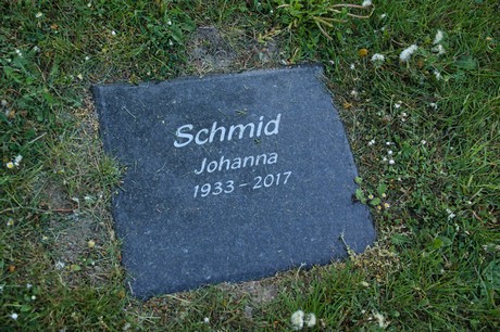 zuelpich
